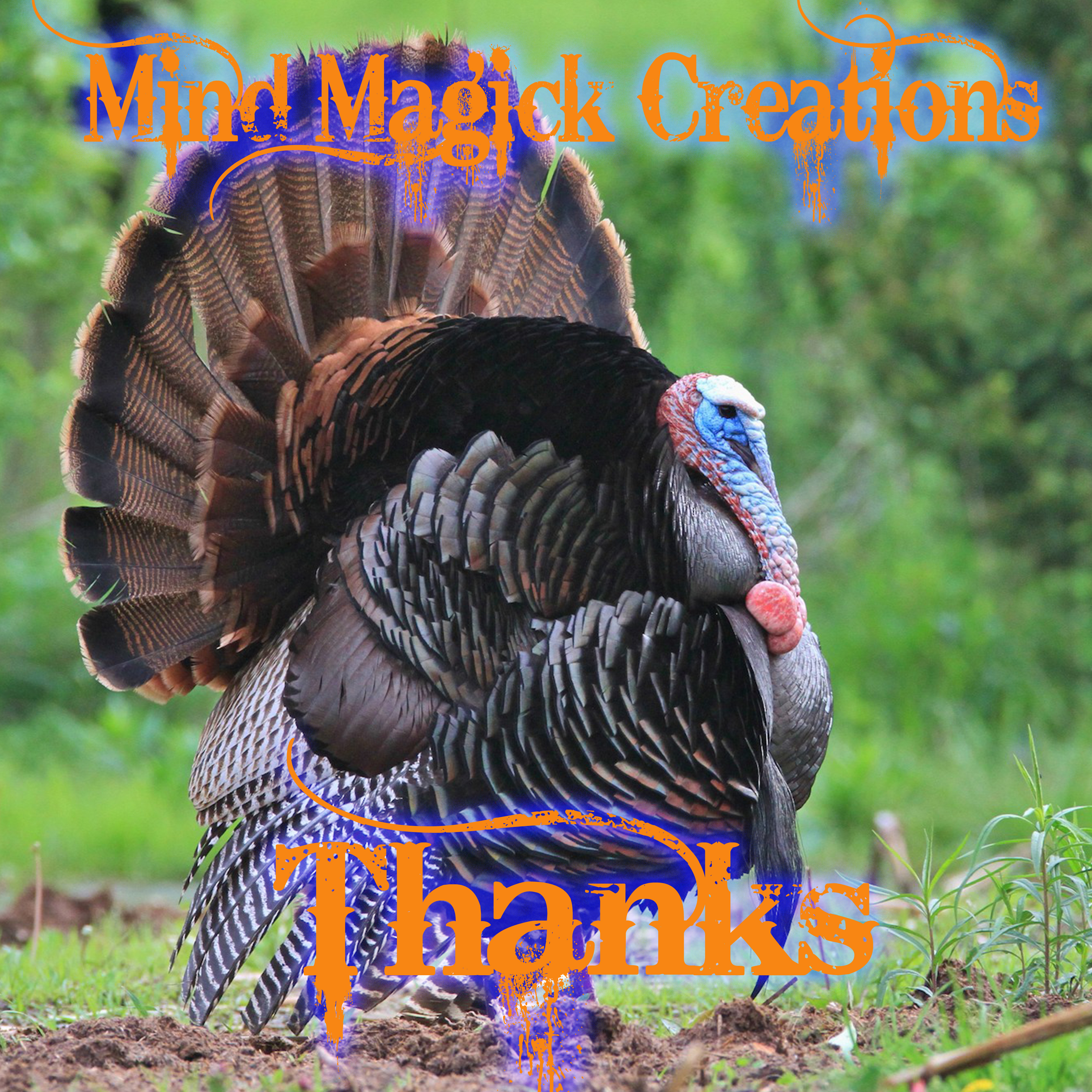 Mind Magick Creations: Thanks