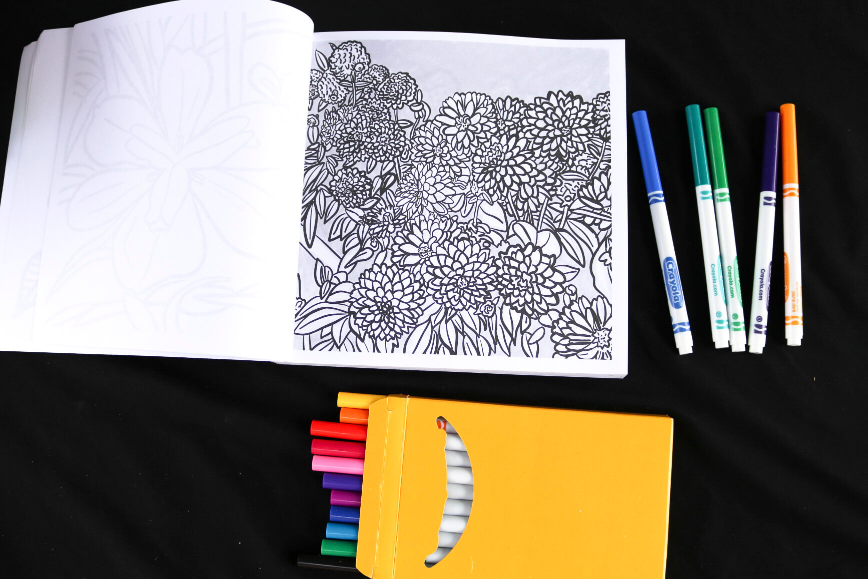 Flowers coloring page - Flora Fauna & Fungi Coloring Book