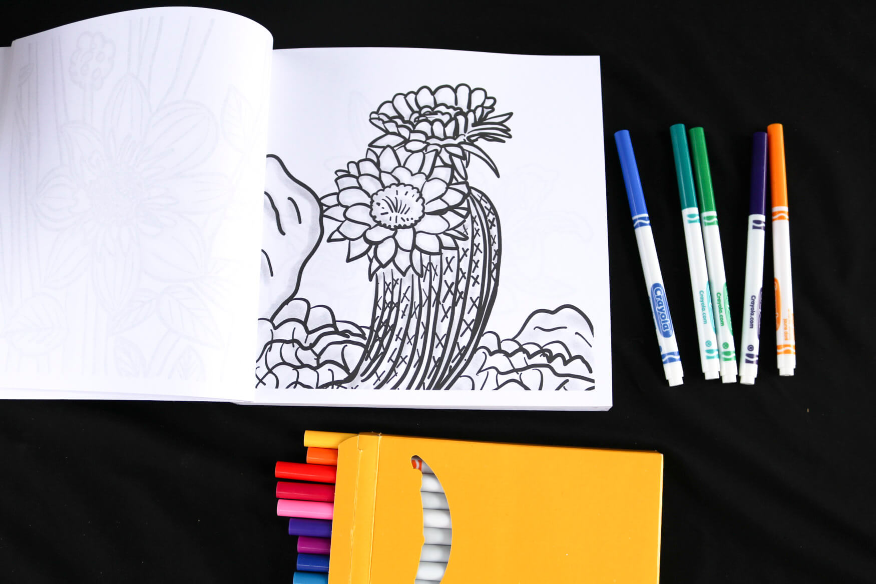 Cactus flower coloring page - Flora Fauna & Fungi Coloring Book