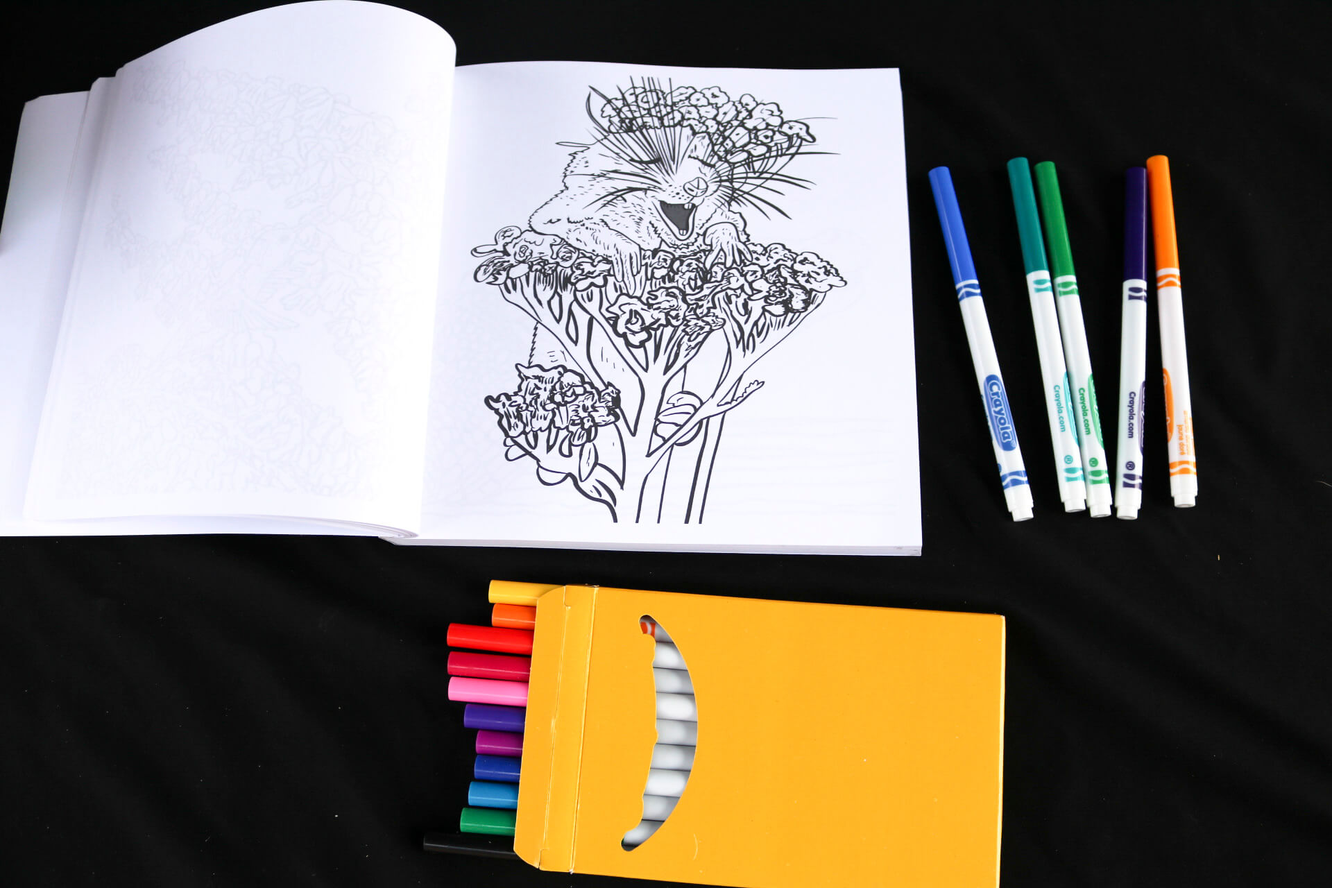 Mouse and flowers coloring page - Flora Fauna & Fungi Coloring Book