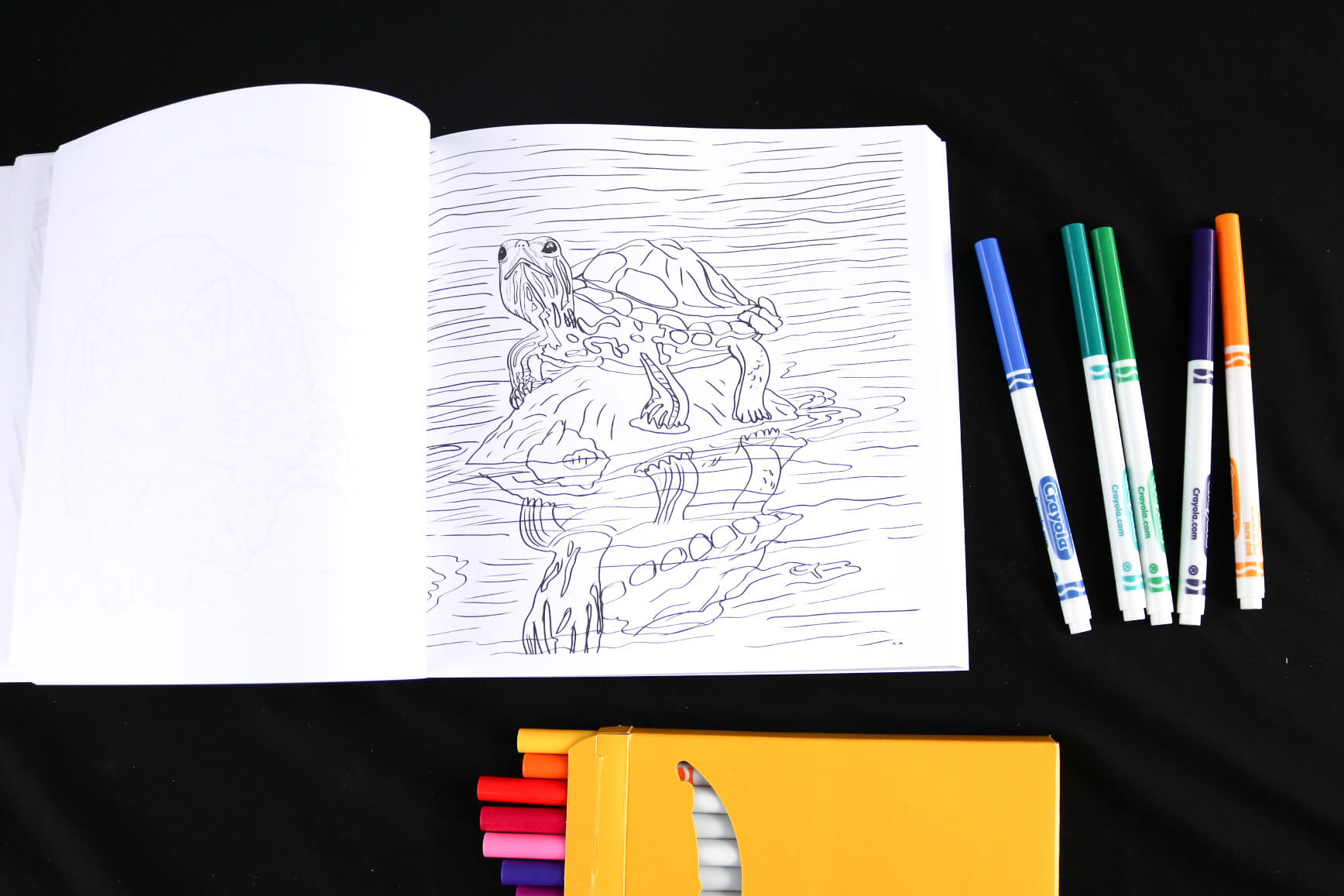 Turtle coloring page - Flora Fauna & Fungi Coloring Book