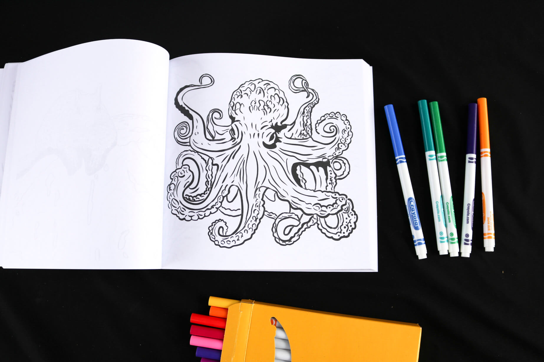 Octopus coloring page - Flora Fauna & Fungi Coloring Book