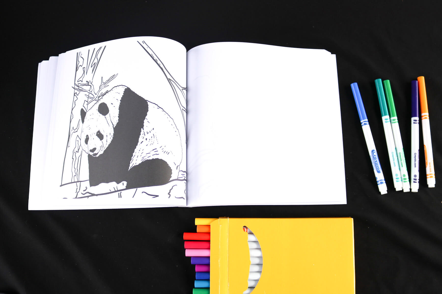 Panda coloring page - Flora Fauna & Fungi Coloring Book