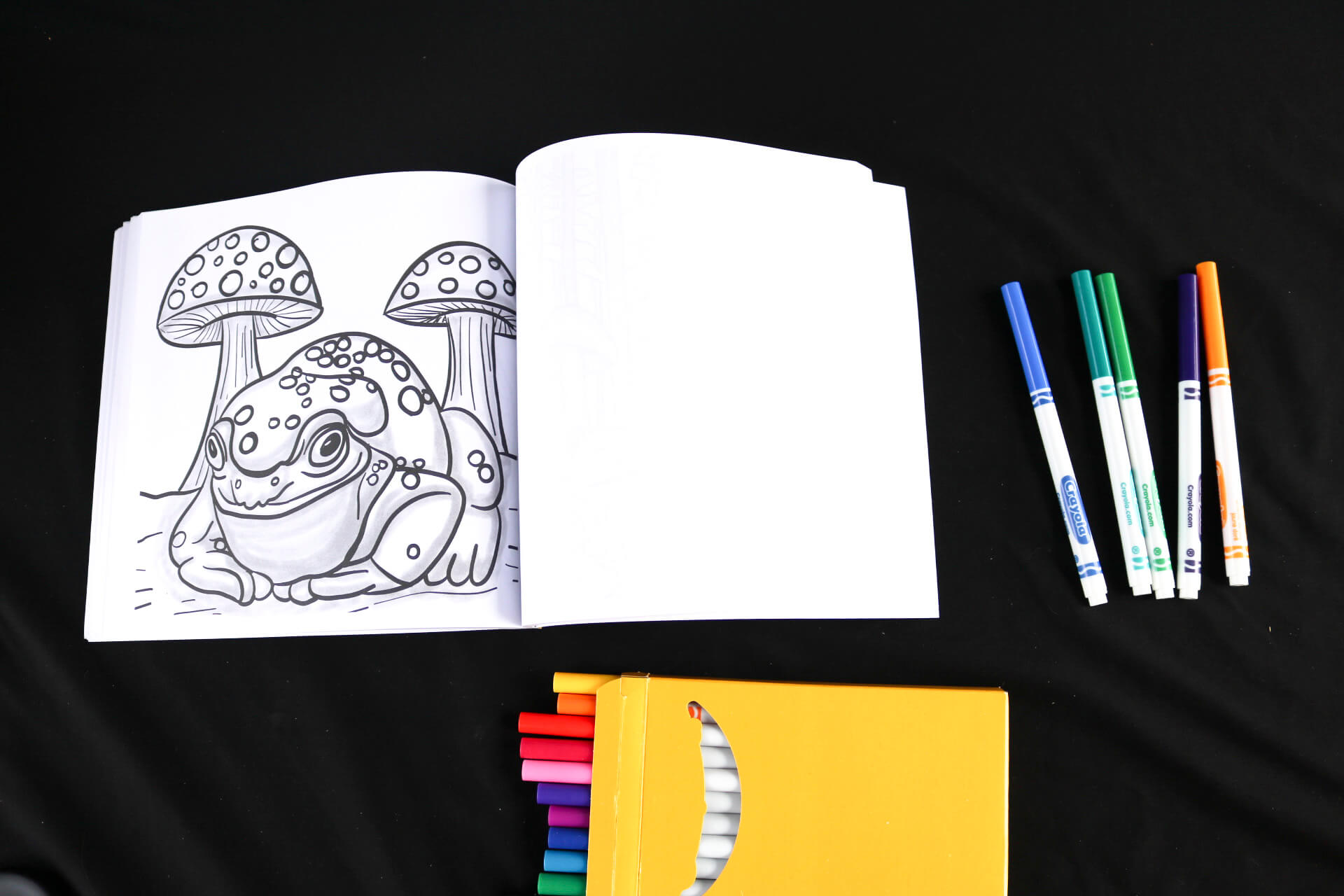 Frog and mushrooms coloring page - Flora Fauna & Fungi Coloring Book