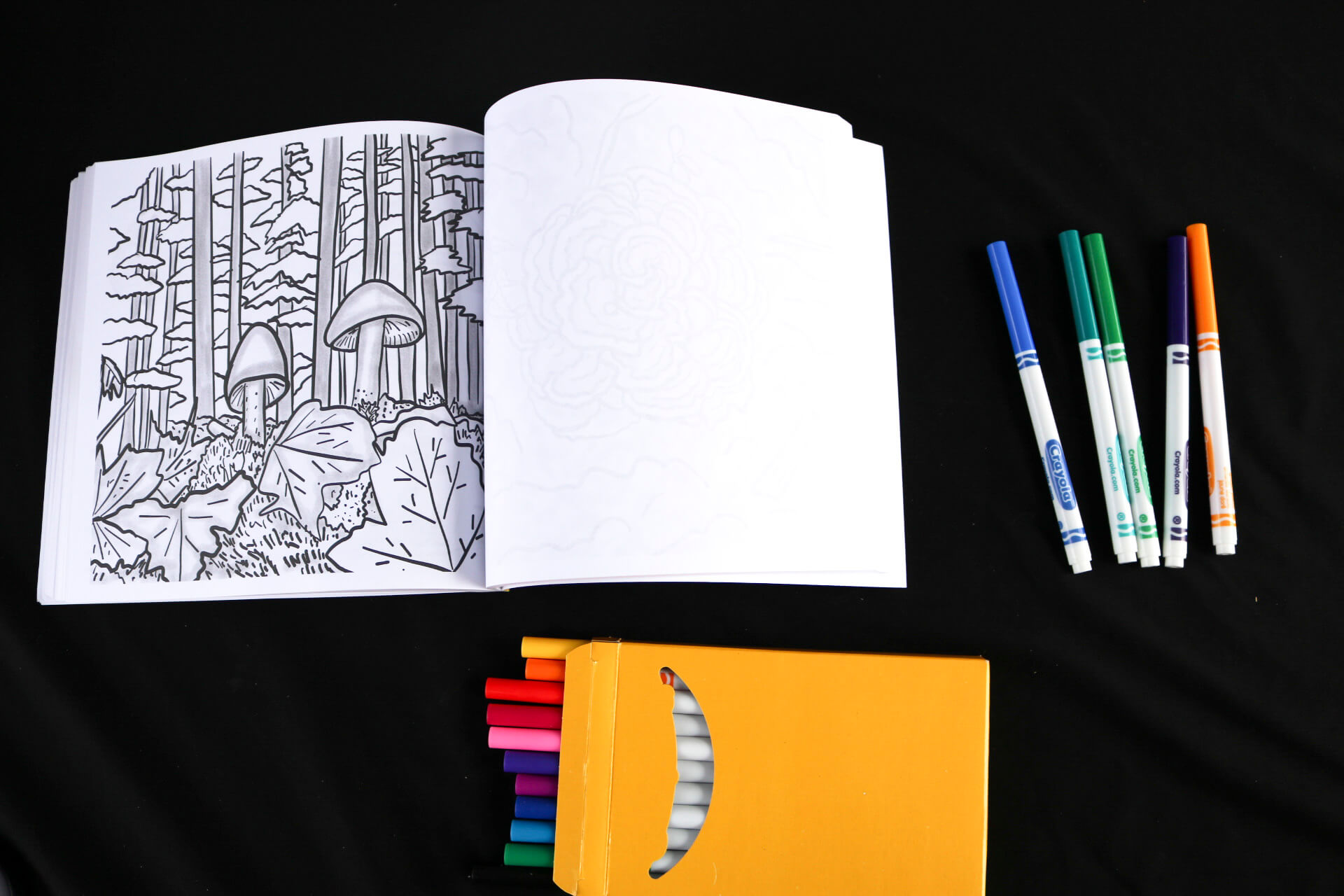 Mushroom forest coloring page - Flora Fauna & Fungi Coloring Book